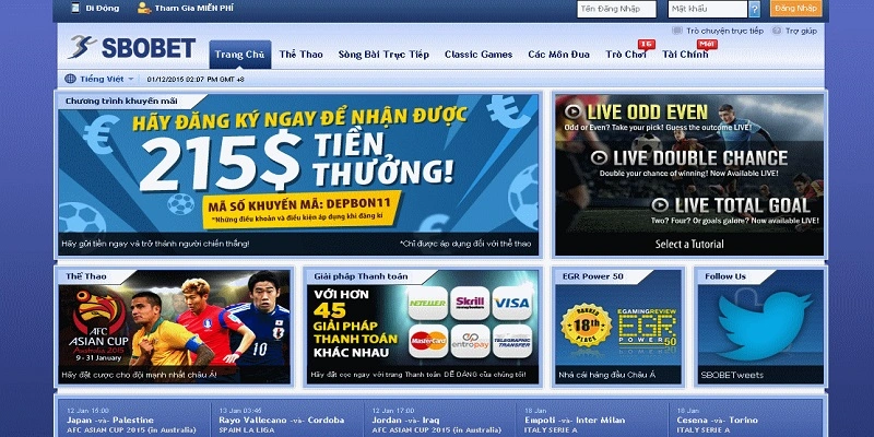 Nên lưu ý những gì khi tham gia cược thể thao